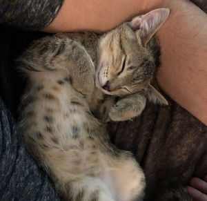 Meet your Posher, Ivan